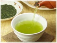 緑茶の効果効能とダイエット効果について
